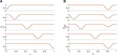 A mechanics-based perspective on the pressure-cross-sectional area loop within the esophageal body